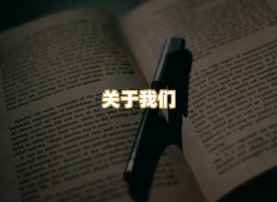 关于我们